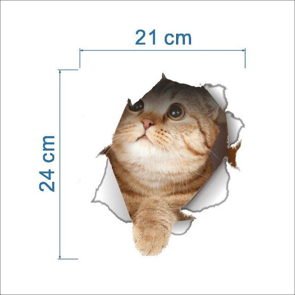 cat-3