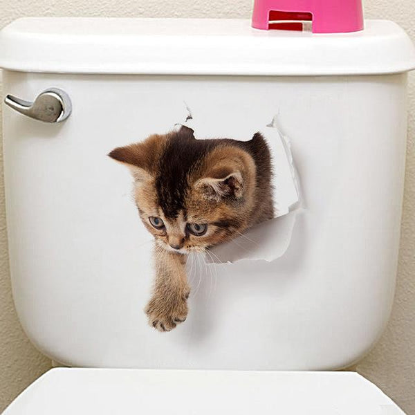 cat-11