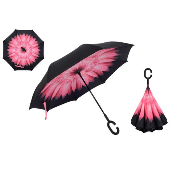 pink-daisy