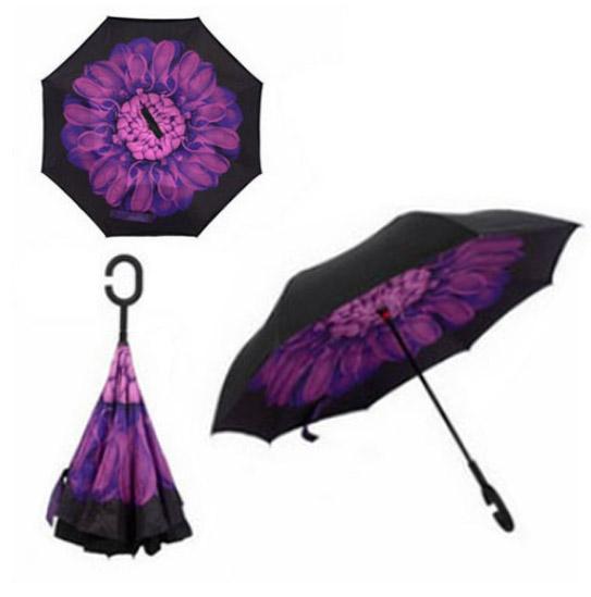 purple-flower